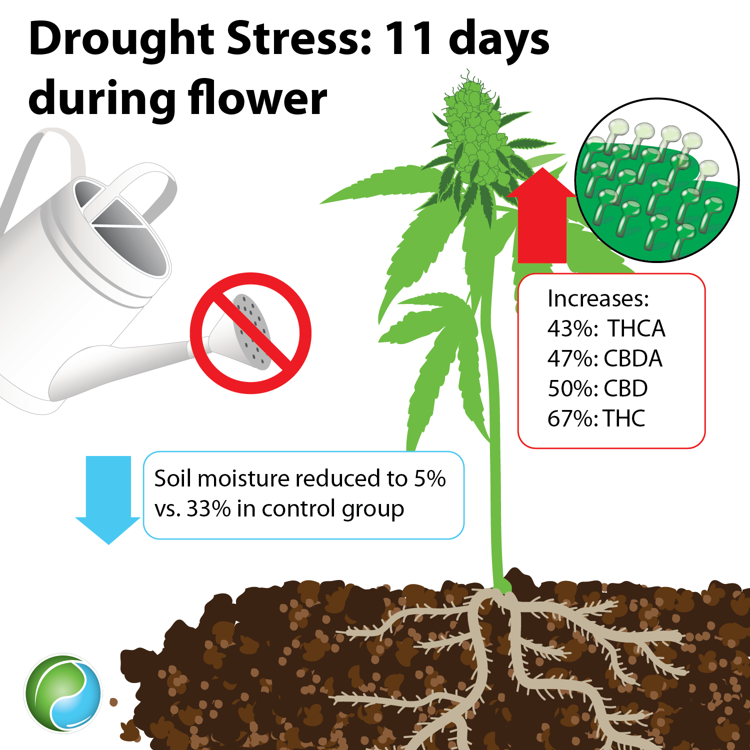 Drought Stress Benefits