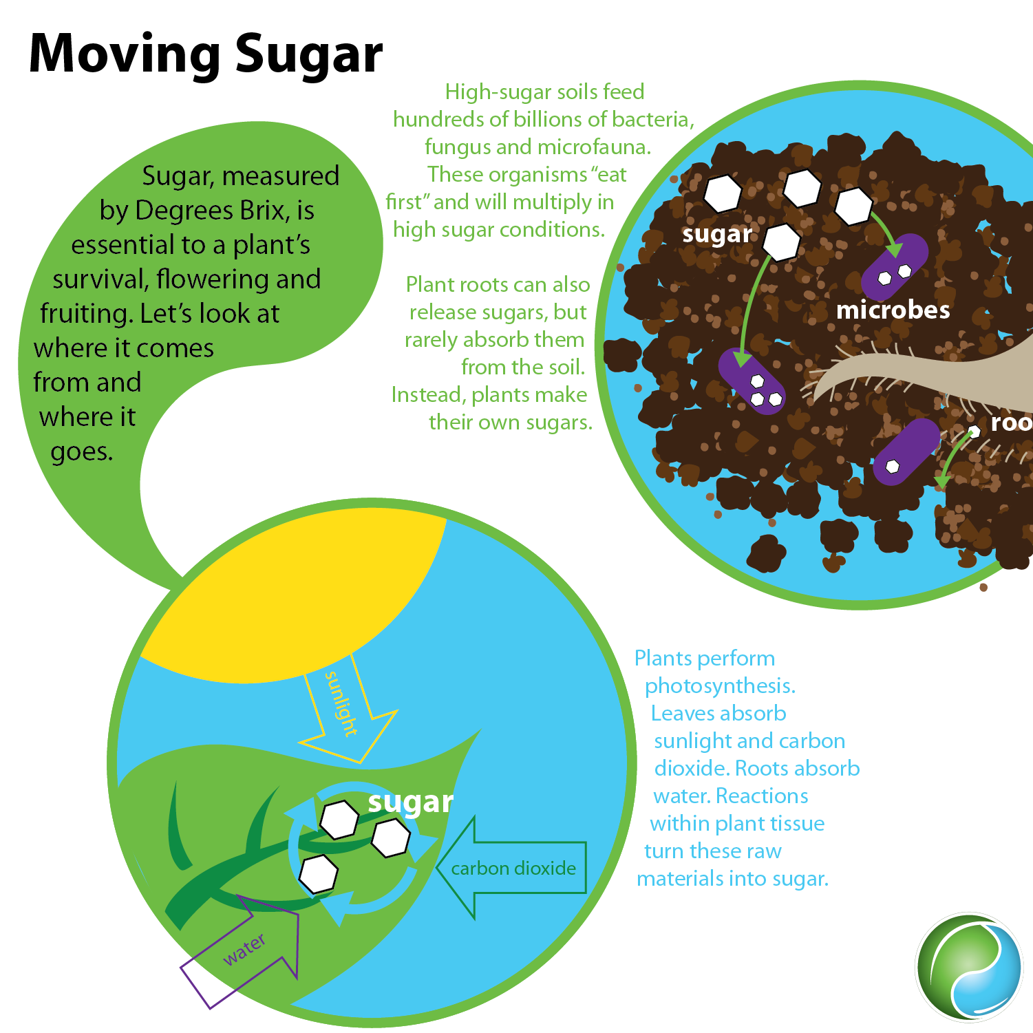 Moving Sugar