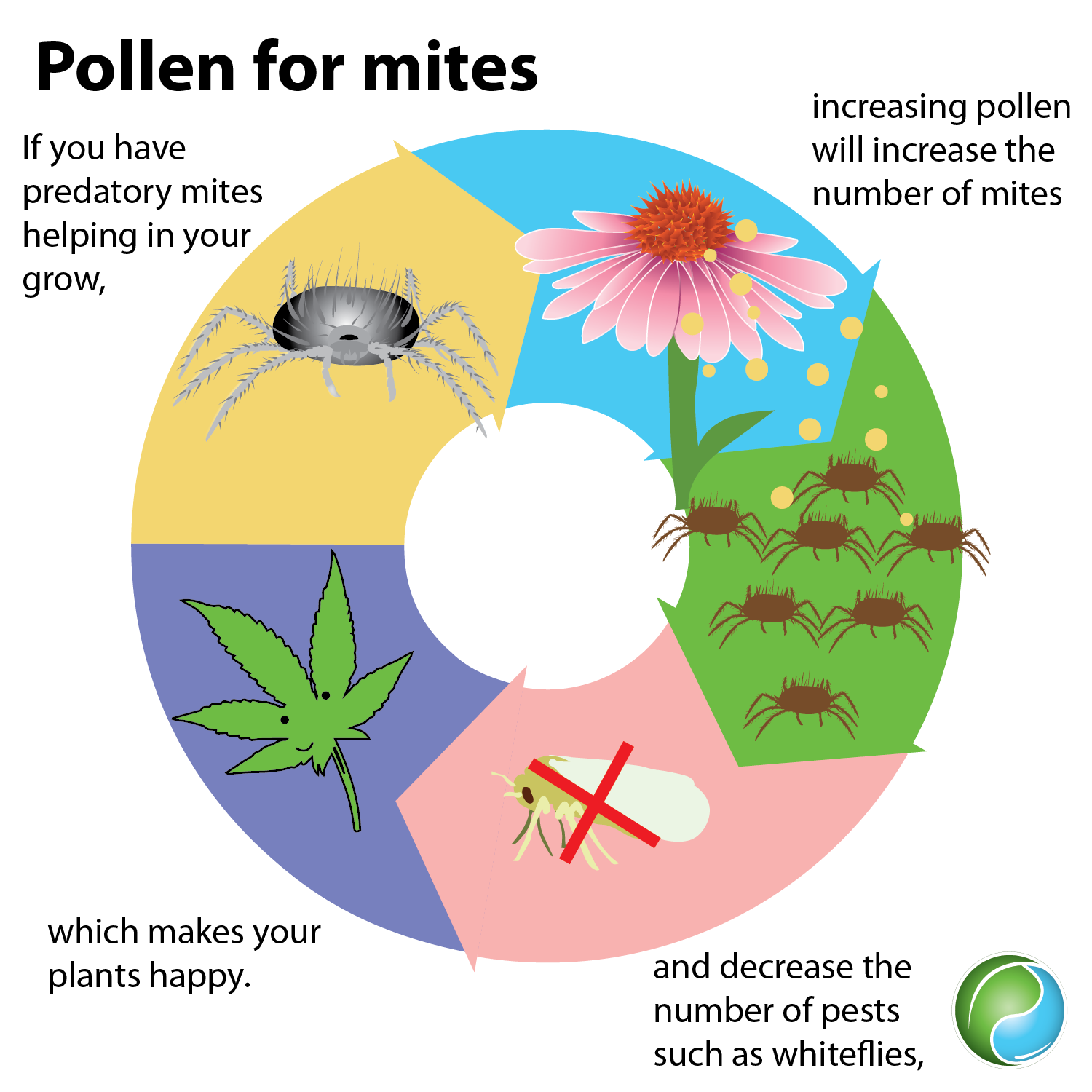 pollen for mites