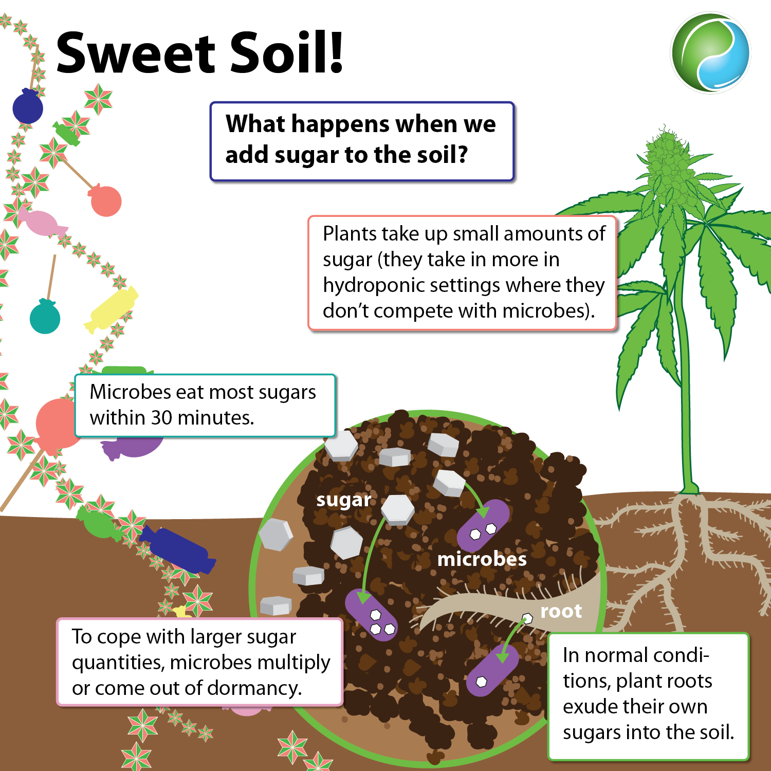 Sweet Soil
