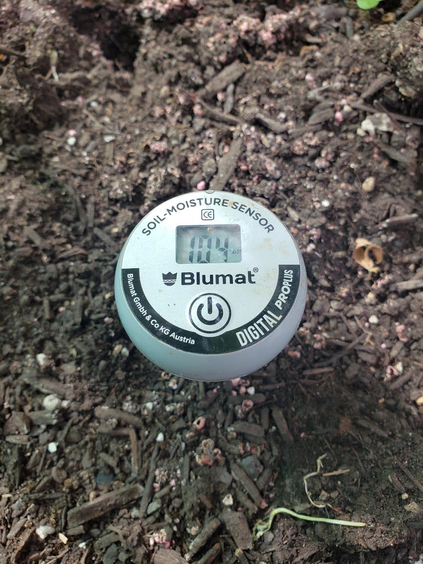 blumat water meter